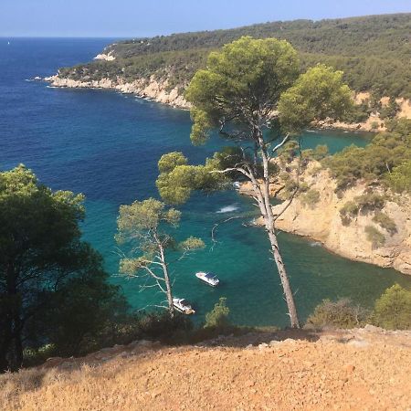 Sanary Sur Mer Appartement 30M2 T2 Avec Terrasse Piscine 10Min A Pied De La Plage Exterior photo